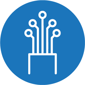 Business Fibre Internet